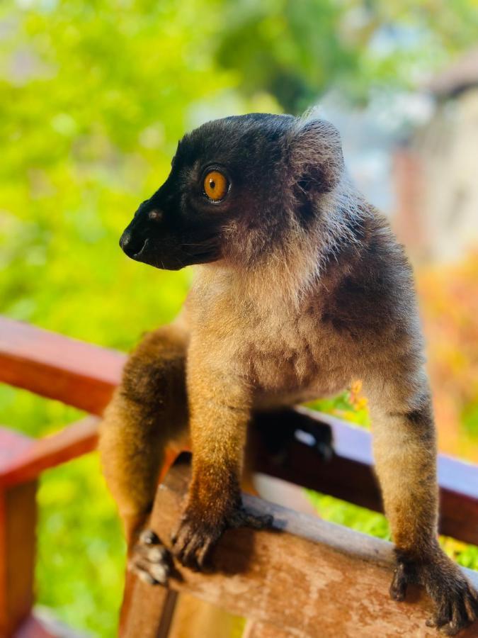 Tamarin Lodge Ампангоринана Экстерьер фото