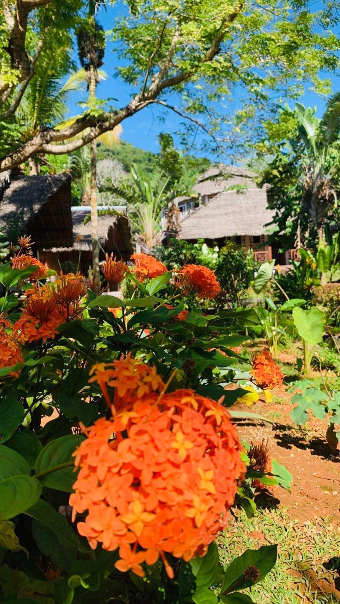 Tamarin Lodge Ампангоринана Экстерьер фото