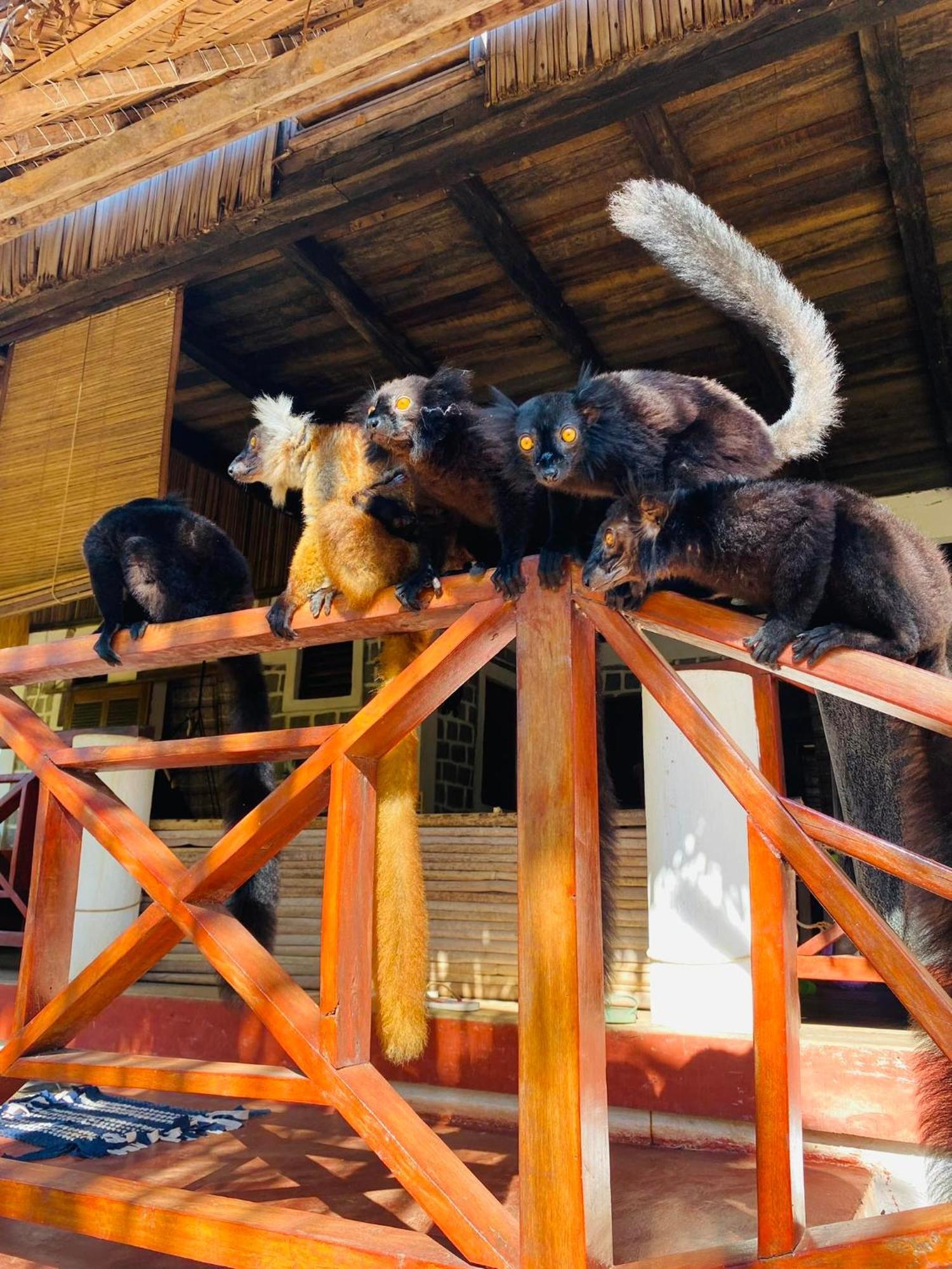 Tamarin Lodge Ампангоринана Экстерьер фото